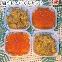 塩うに いくら セット 【送料無料】(塩うに60g×2、醤油いくら80g×2) うに 三陸 岩手 永野商店