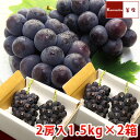 yREYz햳ԂǂEusI[lvi1.5kg~2jhV̓Oɂ͂OK