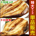特大5Lサイズ干物(単品販売)トロほっけ(シマホッケ)または...