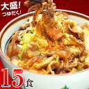 日東ベストの牛丼DX【185g×15パック】 巣ごもり消費 お取り寄せ あす楽
