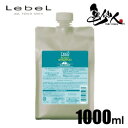 ルベル ジオ シリーズ スキャルプシャンプー アイスミント 1000ml 詰替え用 リフィル 【Lebel THEO series スキャルプ】