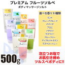 プレミアム フルーツソルベ 500g コスメプロ 全9種 ボ...