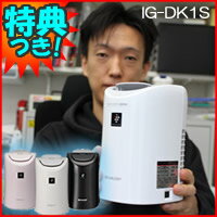 社長も愛用　3特典【送料無料+お米＋ポイント】　シャープ IG-DK1S　プラズマクラスター25000　イオン発生機　加湿器　SHARP　加湿機　ACもUSBも接続可能　イオン発生器　IGDK1S　プラズマクラスター発生機　レビュー記入でお米付