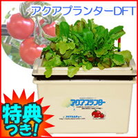 アクアプランター　DFT　水耕栽培キット　3特典【送料無料+お米＋ポイント】　家庭菜園セット　水耕栽培キット　循環式　ビニールハウス　不要の室内園芸キット　土を使わずお家で、野菜製造セット・花製造キット・ハーブ栽培キット　アクアプランター