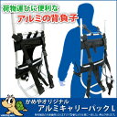 【WAVE GEAR/ウェーブギア】KP-201 アルミキャリーパック L
