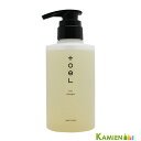 インターコスメ トエルシャンプー 300ml【ゆうパック対応】