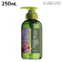 ★最大2,000円OFFクーポン配布中★ナプラ ケアテクト OG シャンプー VC 250mL / 美容室 サロン専売品 美容院 ヘアケア napla ナプラ セット オススメ品