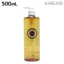 ★7.31は全商品P2倍以上!★ヴィーダテラ アンバーシャンプーネオ 500mL / 美容室 サロン専売品 美容院 ヘアケア オーガニック カラーケア