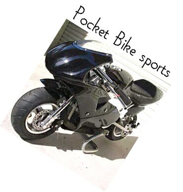 大人も子供の楽しめるハイパワー電動スポーツバイク250W 12AH×2本のハイパワーモーター！制動力抜群の前後輪ディスクブレーキ搭載ポケットレーシング ブラック電動モーター2輪車モータースポーツ