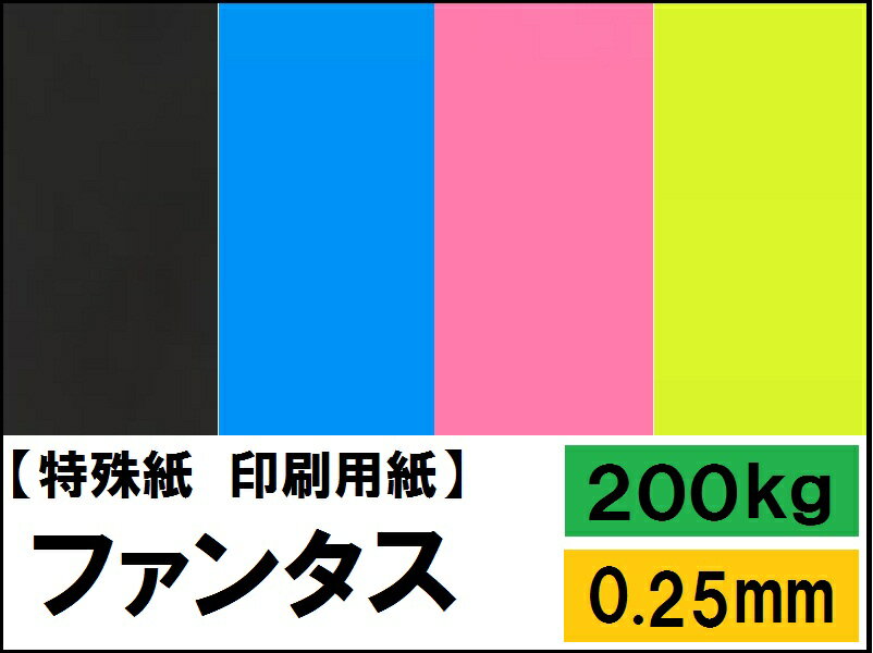 【特殊紙】ファンタス 200kg(0.25mm)【ファンシーペーパー 印刷用紙 キャストコ…...:kamiolshop:10000661