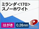 ミランダスノーホワイト<170>はがき/500枚
