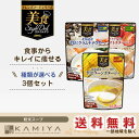 【最大500円OFF】クーポン配布中!9日9:59まで【送料無料(北海道・沖縄を除く)】クレンズフードシリーズ 美食スタイルデリ×3個セット(粉末スープ)
