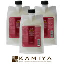 【ポイント対象1日23:59迄】ルベル ジオ スキャルプシャンプー 1000ml(詰替用)×3個セット|ルベル セット おすすめ品