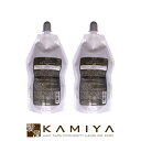 【クーポン対象26日01:59迄】サンコール R-21 スキャルプパック 400g×2個セット(頭皮&毛髪用トリートメント) |サンコール 美容室専売 おすすめ品 エイジングケア 頭皮ケア スキャルプケア 詰め替え レフィル パウチ 美容室 サロン専売品【送料無料】