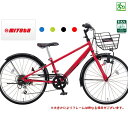 ミヤタ スパイキー SPIKY CSK248 24インチ 6...