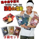 塩飴 オークラ製菓 猛暑de塩飴 1kg×3袋 熱中症対策 ...