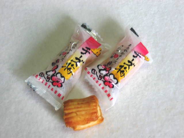 チーズ梅　100g（約31個）