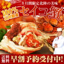 早割 セイコ蟹 100%石川県産 6〜8杯入り セコカニ 早...
