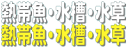 熱帯魚 ショップ 画像