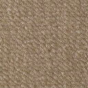 【フリーカット(1平米単位)】サンゲツ ロールカーペット カラーコレクション FH/サンフルーティ FH-59【送料別途】