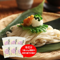 稲庭<strong>うどん</strong> 送料無料 訳あり 切り落とし 寛文五年堂 いなにわ手綯<strong>うどん</strong>・切れ端麺 400g×5袋 20人前 職人手作りの <strong>乾麺</strong> を 秋田 からお届け！茹で時間 約3分 あす楽 長期保存 かんざし