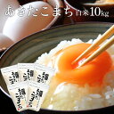 【送料無料】白米 米 令和元年 秋田県産 あきたこまち 10...