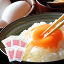 送料無料 白米 米 令和元年 秋田県産 あきたこまち 10k...