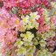 【造花】コスモス・秋桜(造花・アートフラワー)