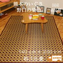 送料無料 国産 い草 上敷き カーペット 上敷きカーペット ...