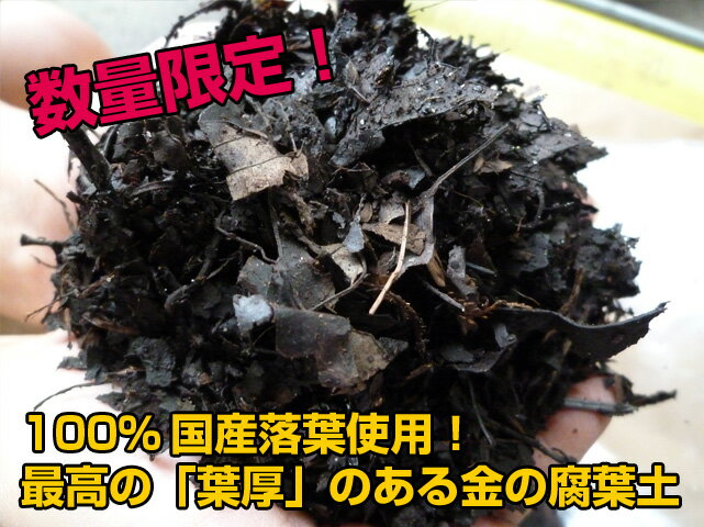 『放射能測定済み』送料無料！お買い得パック！安心安全の日本産落葉使用！金の腐葉土金の腐葉土…...:kaneashop:10000010