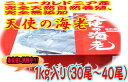 【送料無料】（生食用）天使の海老1kg×10（30尾〜40尾）【業務用】【ニューカレドニア産】/訳あり/半額【50%OFF】【お中元】02P123Aug12