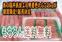 【一本物】【送料無料】限定販売！！無着色たらこ（中〜大）2kg衝撃の50％OFF！！ついに復活--メガ盛り--【業務用、訳あり】　【訳あり】【ギフト】【％off半額】【お中元】02P123Aug12