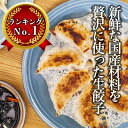 【餃子】【送料無料】生餃子 50個 【セット】【お買い物マラ...