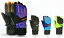 ロイッシュ スキーグローブ REUSCH TORBENIUS R-TEX XT