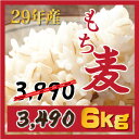 もち麦 6kg 【3kgX2個】新麦29...