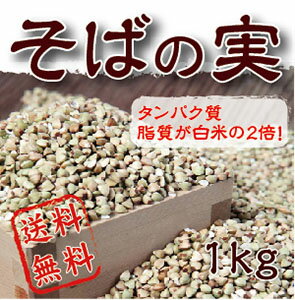 そばの実 1kg【ネコポス便送料無料】/そばの抜き実/ぬきみ/アサイチ/ヌキミ/ソバ/ダイエット/食物繊維/蕎麦の米メール便送料無料