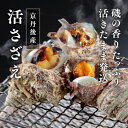 京都府京丹後産活さざえ加熱用【1kg】