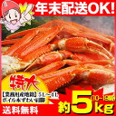 《年内配送OK！》【業務用産地箱】特大5L〜4L ボイル本ずわいがに肩脚 【約5kg】 (10〜19肩)【送料無料】 　　［ズワイガニ｜ずわい蟹｜ボイルズワイガニ｜ボイル済み｜カニ脚｜食べ放題｜