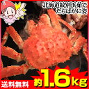 北海道紋別浜茹でたらばがに姿【約1.6kg】【送料無料】[特...