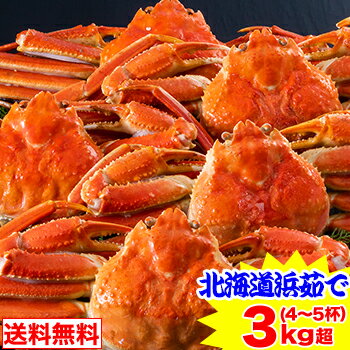 北海道紋別浜茹で ずわい蟹姿 3kg超（4〜5杯）