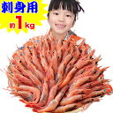 【たっぷり約1kg!】刺身用甘エビ 約1kg(約50~60尾)甘えび 甘海老 えび エビ 海老 お刺身