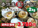 【送料無料】香住産 天然活サザエ 2kg 【冷蔵】 《さざえ/サザエ/貝/バーベキュー/つぼ焼き/香住》