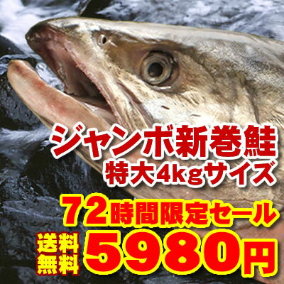 ޤ˥ۡĥκޤ뤴ȤϤ̵ۤʤޤǤäۡĥ4.0kg1