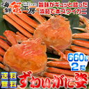 お歳暮 送料無料 本ズワイガニ姿 660g前後×2尾 ボイル...