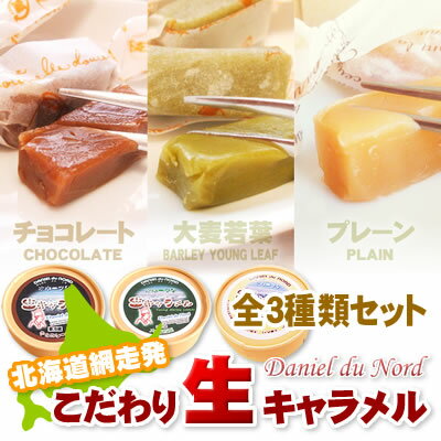 【北海道】生キャラメル3種類セット《チョコレート・大麦若葉・プレーン》冷凍品と同梱OK♪02P17Aug12【2sp_120810_green】オホーツク網走のパティシエが原料にこだわって作りました。