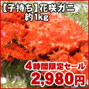 【56%OFF】貴重な根室特産のカニを今だけ特別価格で!根室特産の花咲蟹姿⇒貴重な【特大】1キロ前後ナイトセールでズバリ半額以下!プチプチの子持ちを茹でたて急速冷凍!