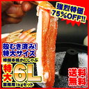 y75%OFFzт肷悤ȑ傫ȃJjgނ500g(10-15{j2pbNyz{YCKj̓6LJj1kgłɑ..