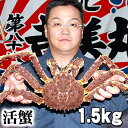 小型かに 活たらばがに オス 1.5kg前後 茹でたてなら到...