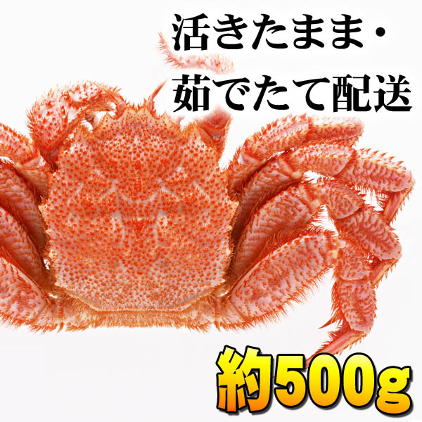 北海道産　活毛ガニ　500g前後　毛蟹の美味しさを味わうなら、やっぱり活蟹。毛がにの醍醐味でもあるカニ味噌とかに身と絡めてお召し上がりください。カニお刺身、焼きガニ、蟹みそも美味しい。茹でたて毛ガニ かに通販(活 毛蟹)とろけるカニ味噌が絶品。茹でたての毛ガニは、冷凍にはない甘みがあります。 北海道の旬の毛がにを存分に味わってください。カニお刺身、焼きガニ、蟹みそも美味しい。