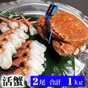 活毛ガニ 北海道産 500g前後 2尾入り 中型 毛蟹の美味...